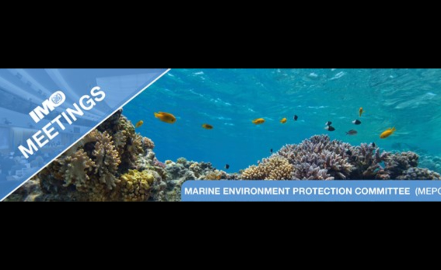 MEPC 80 preview: revision of the GHG strategy